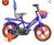 Ekas 14 Inches Single Speed Bike for Kids of Age 2-5 Yrs (IBC)